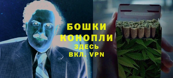 индика Алексеевка