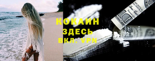 индика Алексеевка